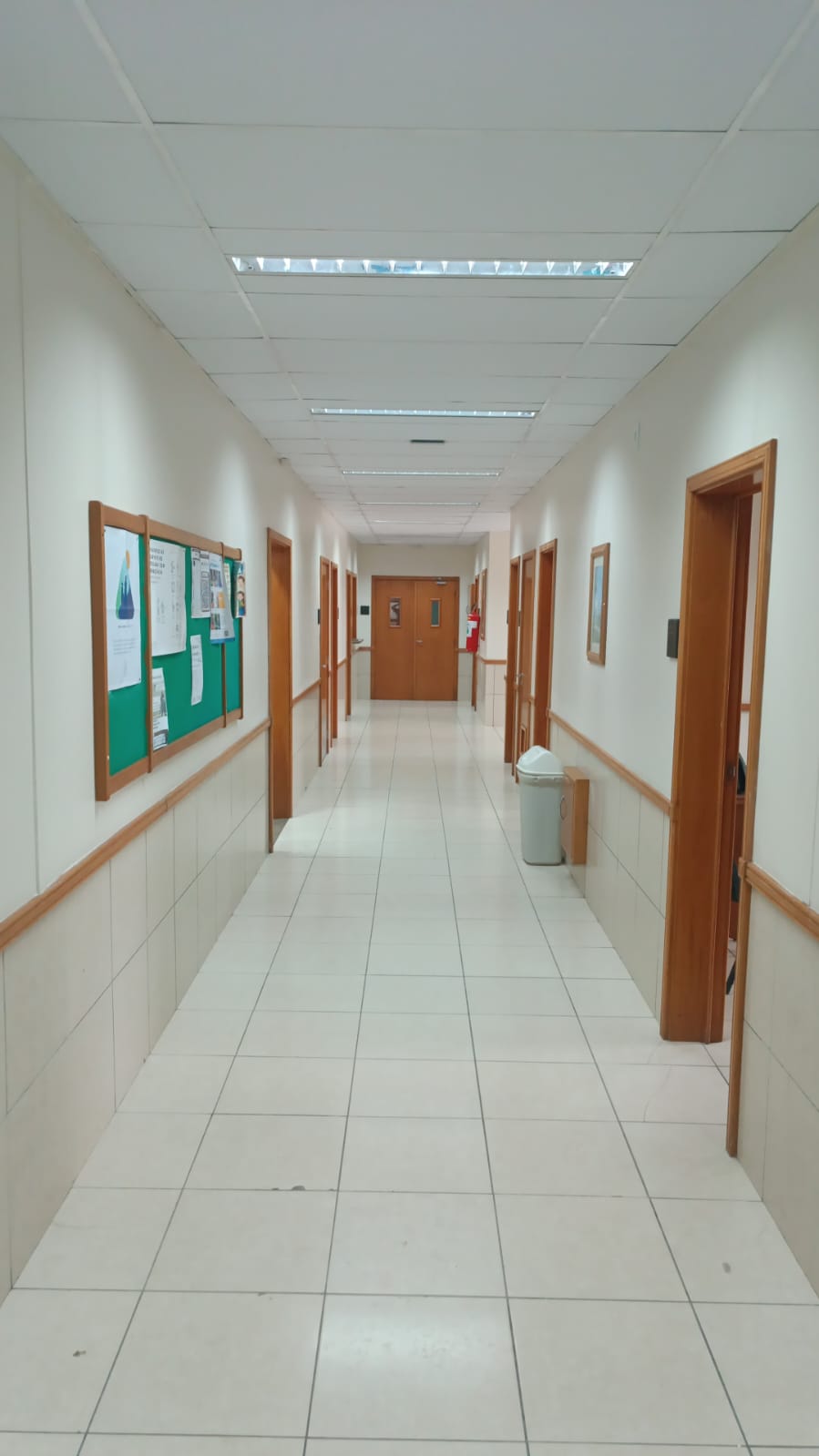 Pintura interna corporativa